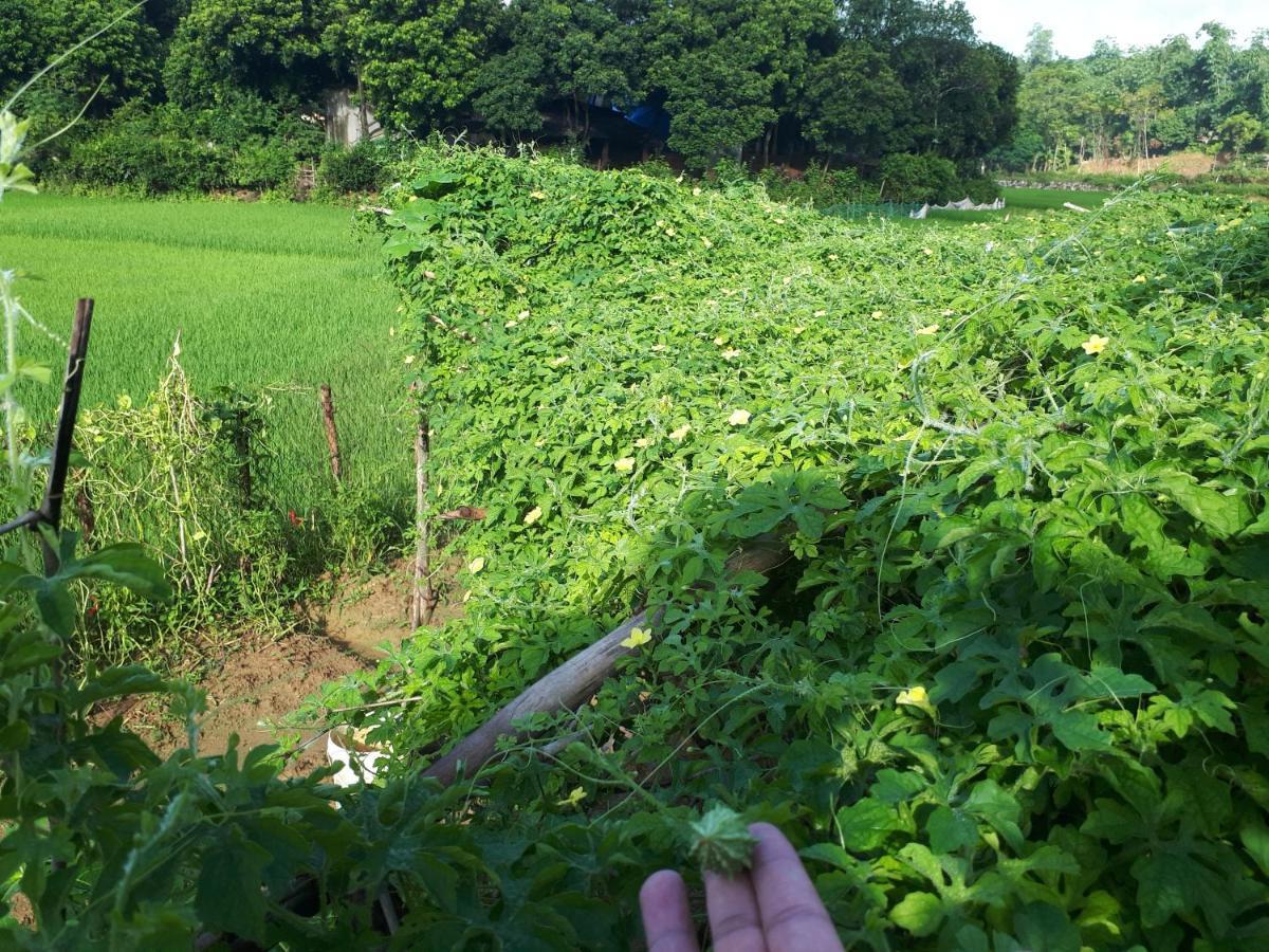 Meadow Mai Chau Homestay Exterior photo